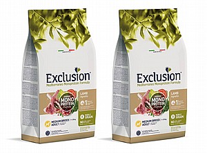 ��� ������'� ���� ��� 24 �"� ������ ���� ������ 