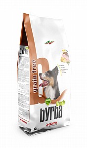 ����� ��� ����� 12 �"� ���� ������ ��� ������-��� ���