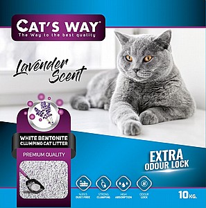 ��� ������ ����� ���� ���� 10 �"� -  ������