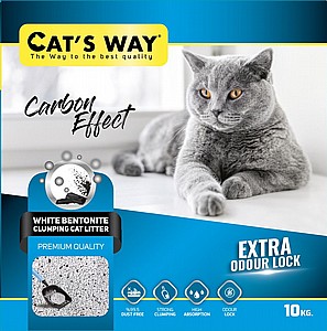 ��� ������ ����� ���� ���� 10 �"� -  ��� ���� (�����)