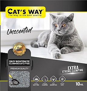 ��� ������ ����� ���� ���� 10 �"� -  ��� �����